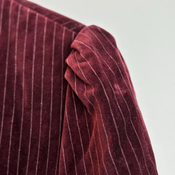 Victorian Velvet Jacket - Burgundy Pinstripe Blazer - Picture 4 of 16